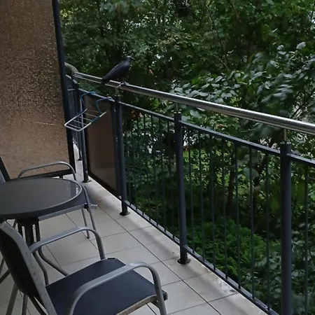 Apartment Spacerowa *