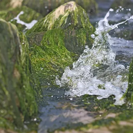 Spacerowa Appartamento Kołobrzeg